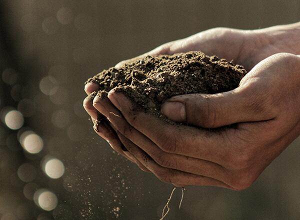 handful of soil